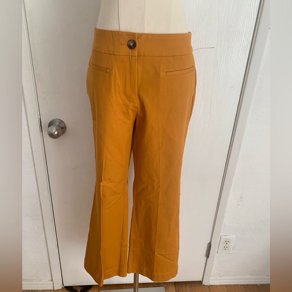 NWT ANN TAYLOR FACTORY CAPRI CROP PANTS SIZE 2